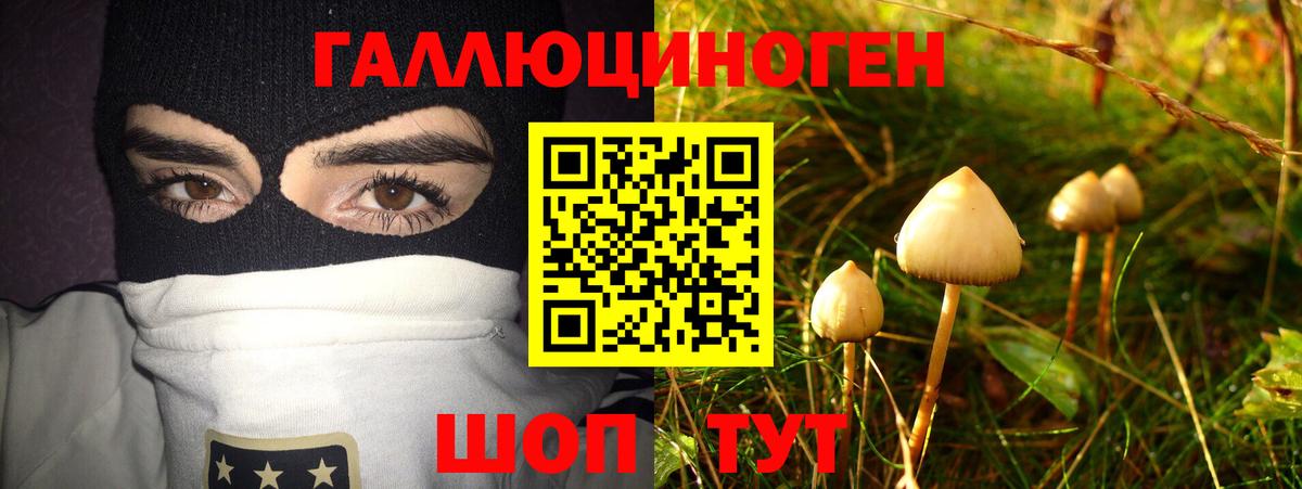 Кушва  Псилоцибиновые грибы Psilocybine cubensis  Вход с VPN 